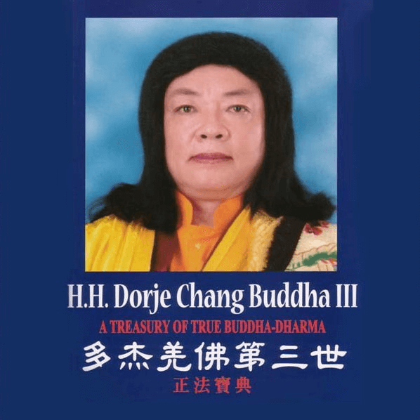 翻车落悬崖,汽车解体,人却毫发未伤【羌佛圣迹】-图片1