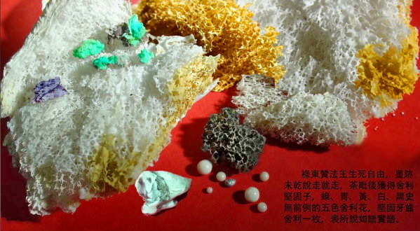 『正知正見系列2』∶ 見證!生死自由!法王做到了?憑什麼?