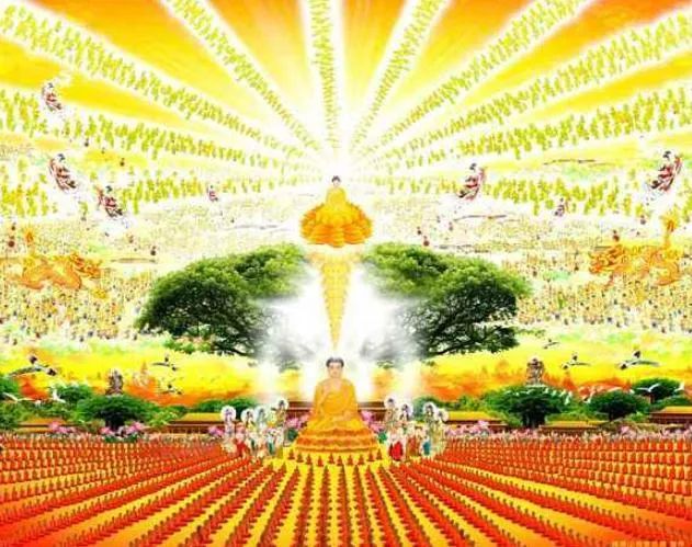 西方极乐世界游记(下)-宽净法师-图片4