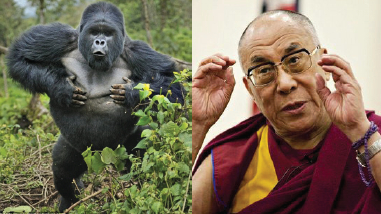 诽谤南无羌佛 十四世达赖是圣者还是低智凡夫?-图片4